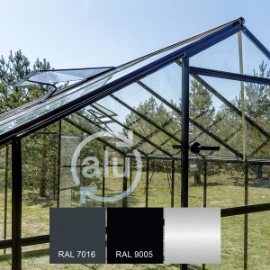 Gampre Sanus Glass