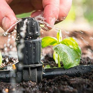 Proč začít pěstovat hydroponicky?