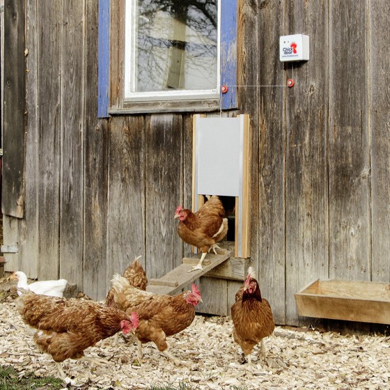 Dvířka šoupací pro otevírač kurníku, Chickenguard, bez vodících lišt