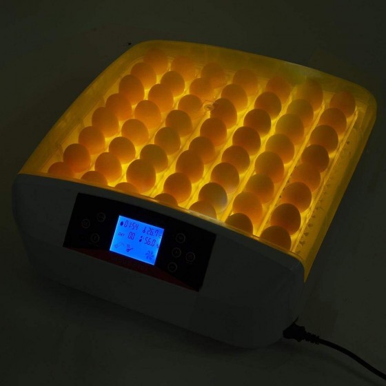 Líheň automatická digitální inkubátor 56 vajec Incubato