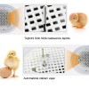 Líheň Mini digitální inkubátor na 12 vajec